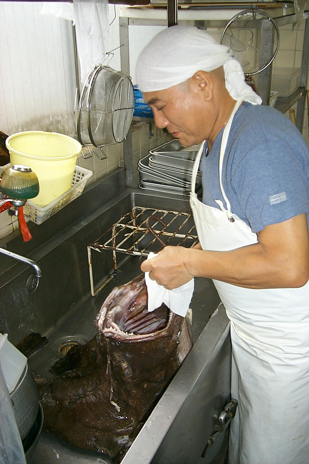 ankou
